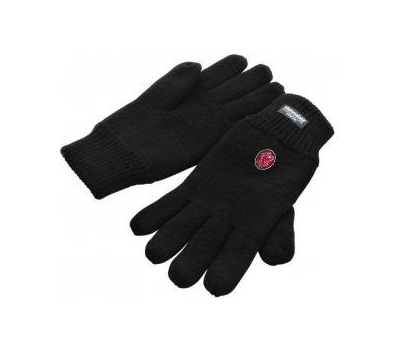 Somerset County Cricket C Somerset CCC Winter Gloves