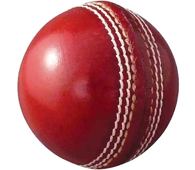 DCS Cricket Ball 80 Overs
